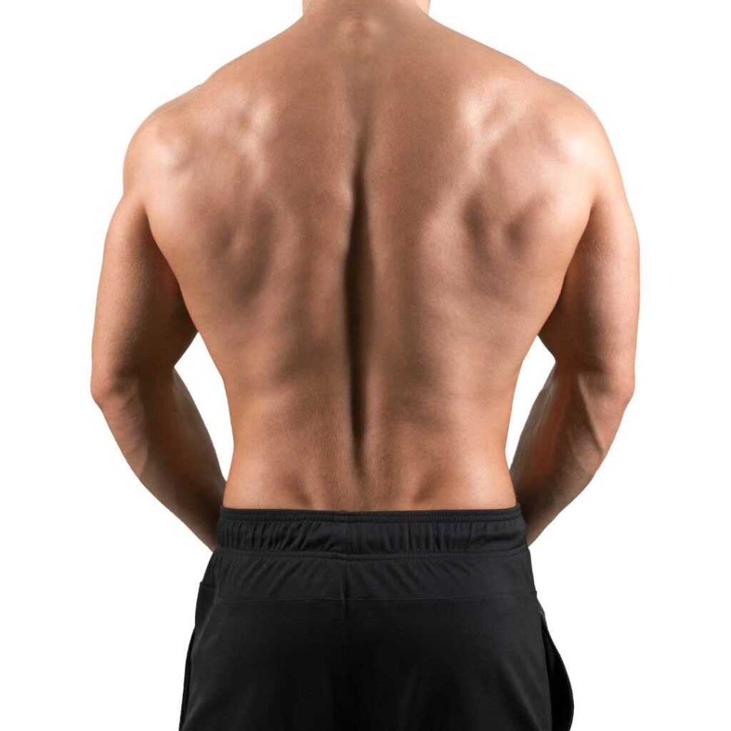 back-shoulder-wax